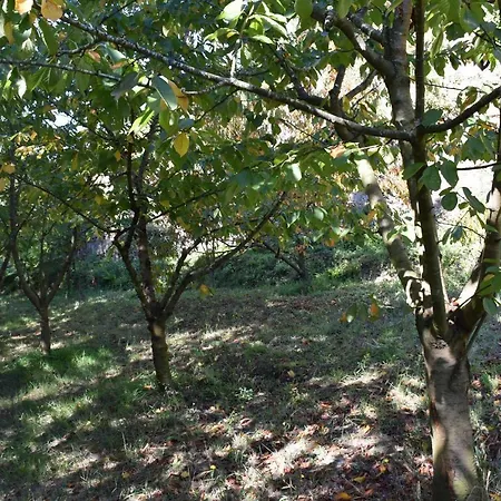 Affittacamere Quinta Do Bairro Canelas (Penafiel)